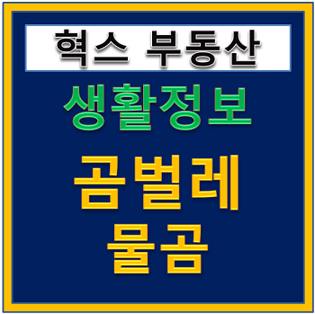 물곰 곰벌레 수명 완보동물