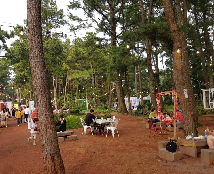  <아이와 제주도여행> 제주시권 하루코스