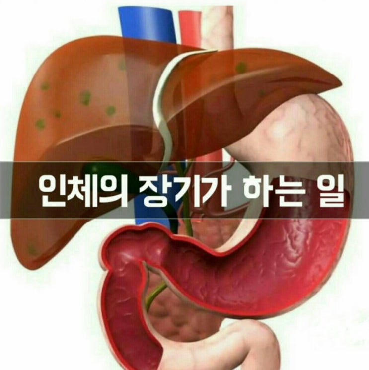 내병,내가족의병 내가 해결한다