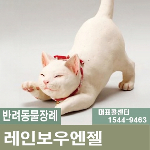  고양이장례 !! 가장 합리적인 장례식장의 선택 방법은?