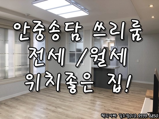 안중쓰리룸전세월세 송담지구 신축건물 상권최고