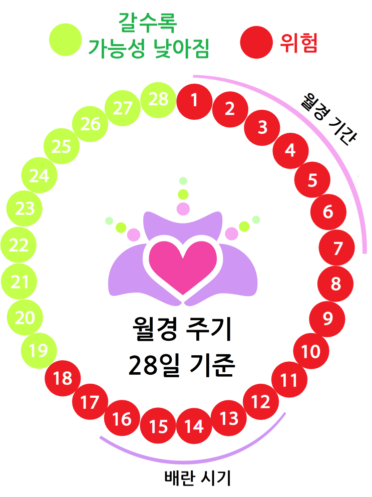  임신 안전한 날 확인하십시오