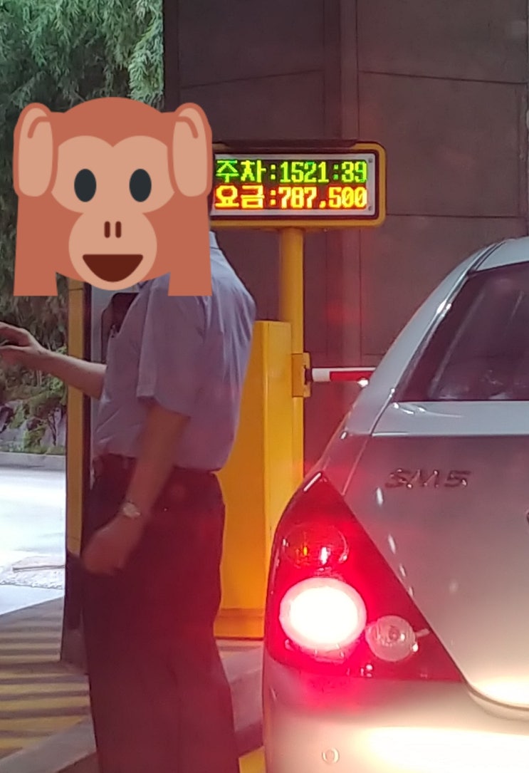 대한민국 주차문제, 세울곳도 문제고 요금도 문제 ㅠ