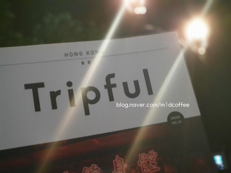  미원동언니, tripful HONG KONG