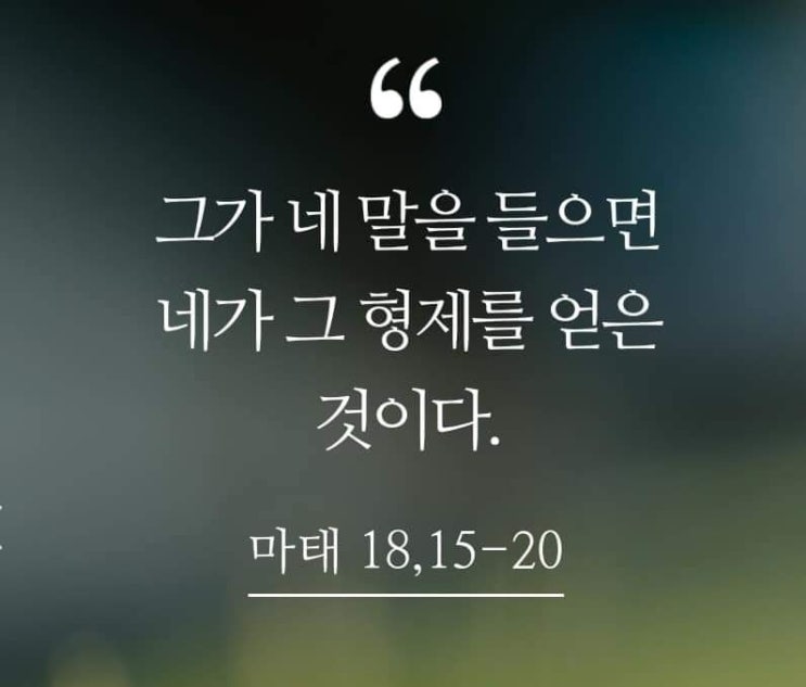  오늘의 묵상 (2019.8.14 성 막시밀리아노 마리아 콜베 사제순교자 기념일) 안봉환 스테파노 신부