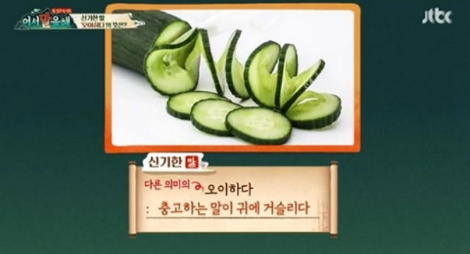  오이하다, 고추하다의 뜻이 뭘까요? '어서 말을 해' 유익하네요 ㅎㅎ