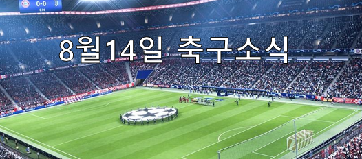  8월14일 해외축구소식 및 토토프로토 축구픽분석
