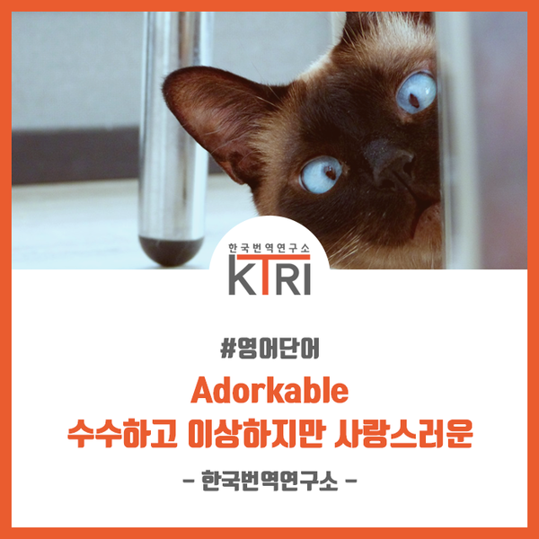  [영어단어] Adorkable - 수수하고 이상하지만 사랑스러운