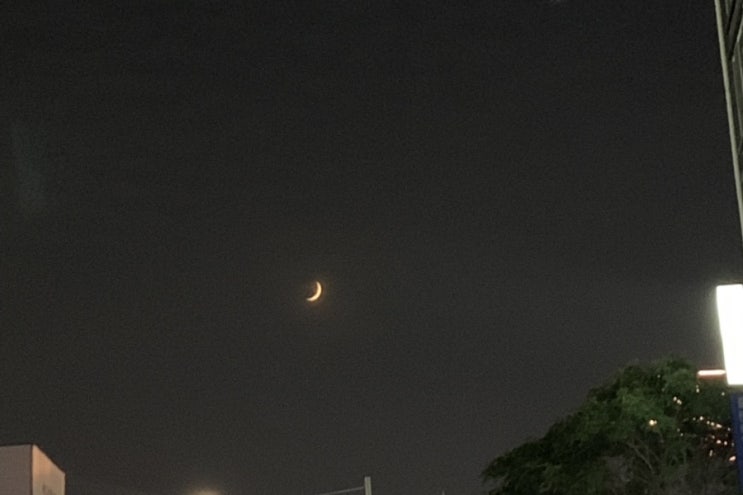  8월의 2번째 주