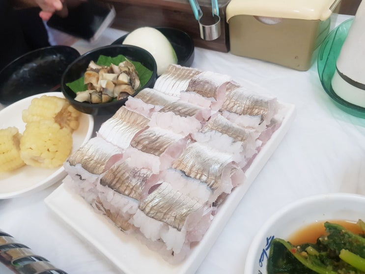  수요미식회 여수 경도 자연횟집 갯장어 샤브샤브 나도 먹어봤지