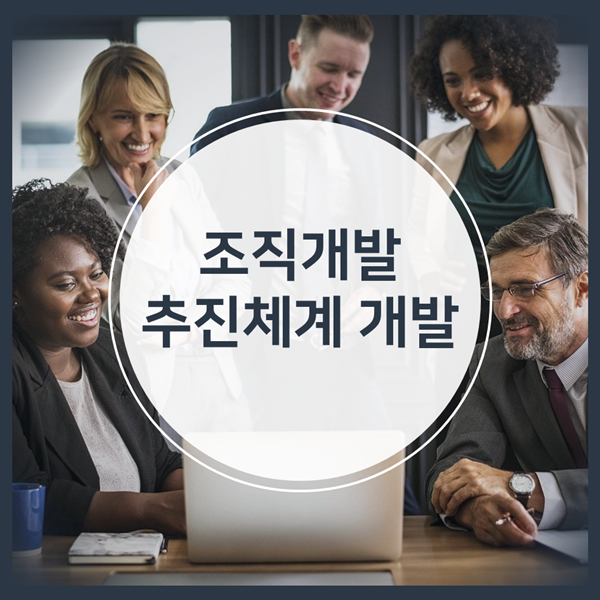  디지털 트랜스포메이션 - K사, 조직개발 추진체계 개발 사례