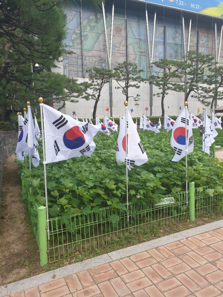 08•15광복절 평화 집회 시간대별 일정 목록 08•15광복절 평화 집회 시간대별 일정 목록