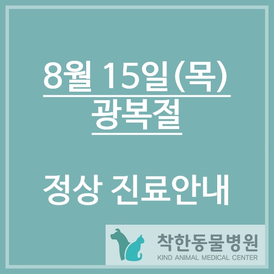  8월 15일(목) 광복절 정상진료안내 /반여동동물병원/반여착한동물병원/안락동동물병원/재송동동물병원/반송동물병원/강아지중성화 /고양이중성화/강아지건강검진/부산피부전문동물병원