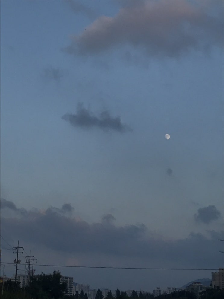  벽