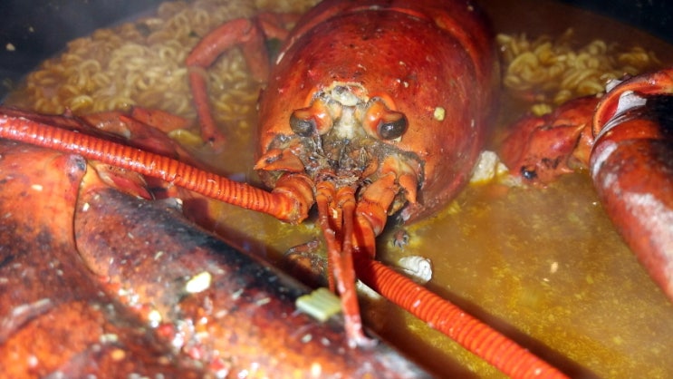  [맛집] 홍대 랍스터라면 먹으러 둘이 찾아가서 배터지게 먹었던 품떡