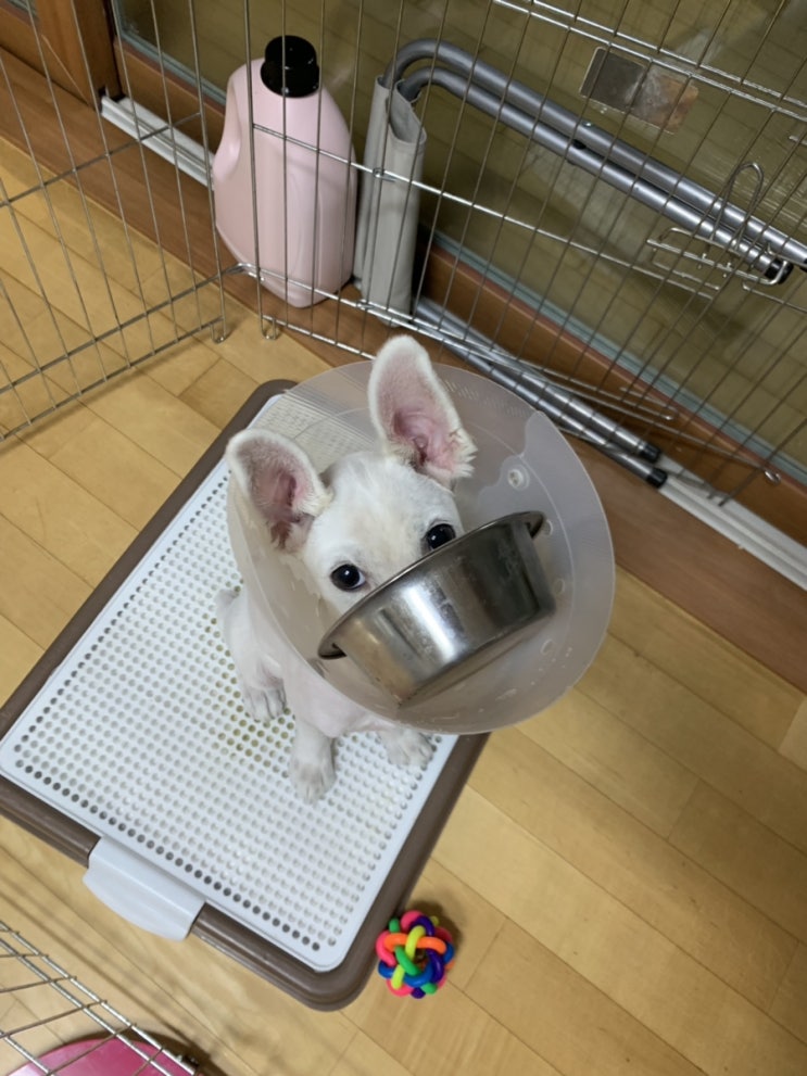  [희진로그] 190812-190814