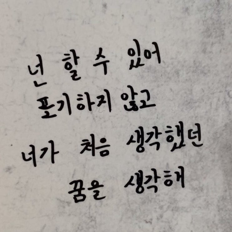  2019년 8월 15일의 기록