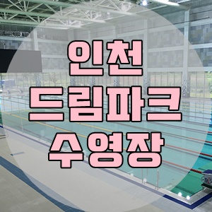  <190815> 인천 서구 드림파크스포츠센터 수영장 일일입장 방문기