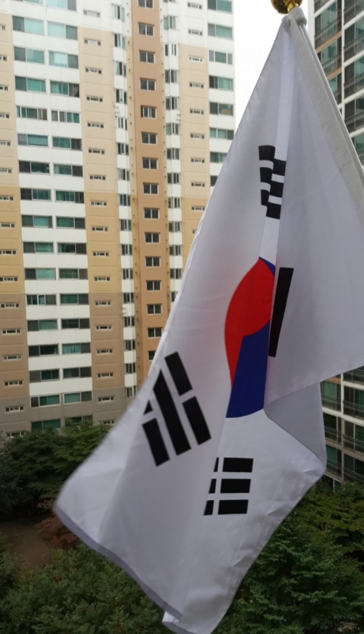  비오는 날 태극기 게양 아쉽 무궁화로 달래요~~