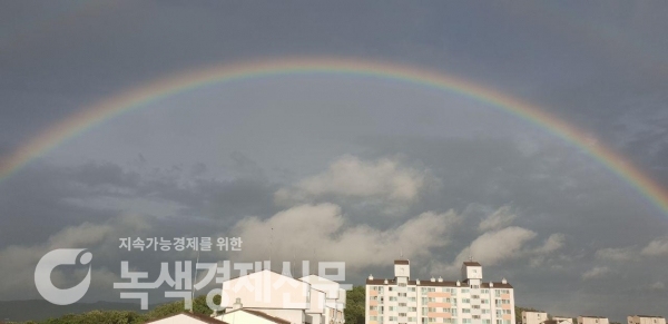 [포토뉴스] 광복절, 용인시 수지 아파트 단지 위로 쌍무지개 떴다...신비한 현상 '행운의 상징'