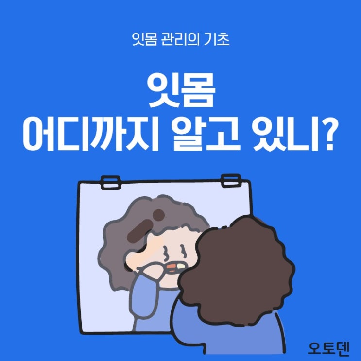  잇몸 관리의 기초