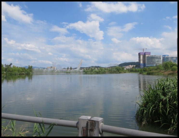  운정호수공원 뜨거운 햇볕