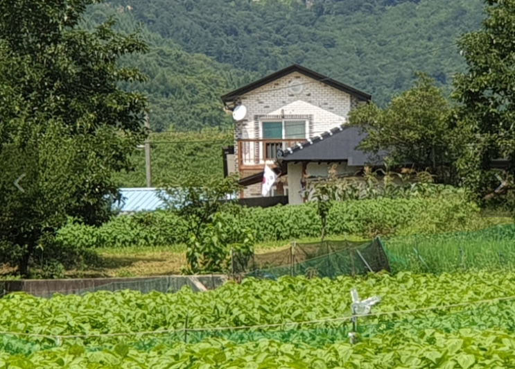 온 마을에 태극기 물결...나라사랑 '뭉클'