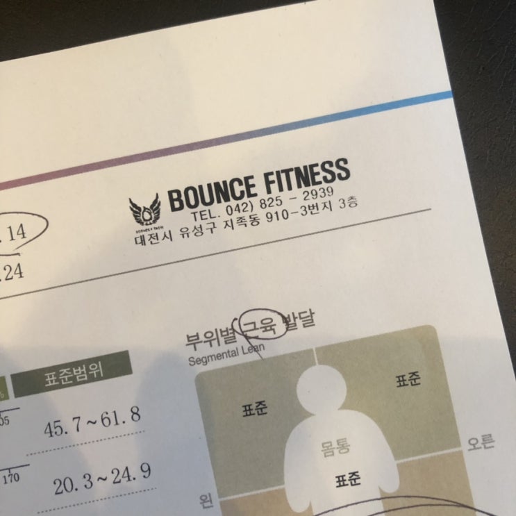  인생처음 인바디,PT/노은동헬스/바운스휘트니스/일반인다이어트/일반인헬스/다이어트/PT가격/PT/대전헬스/대전PT