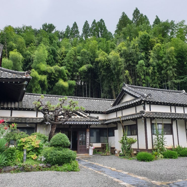  2019년 7월, 주말 군산