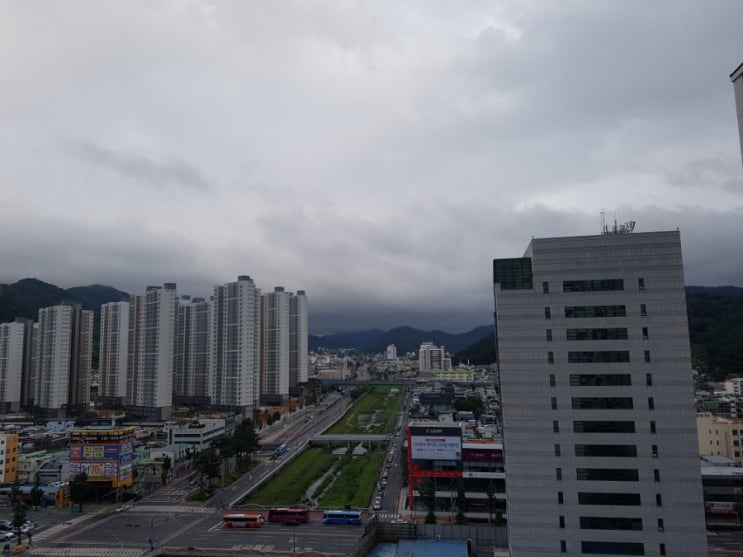  굿모닝_광복절!