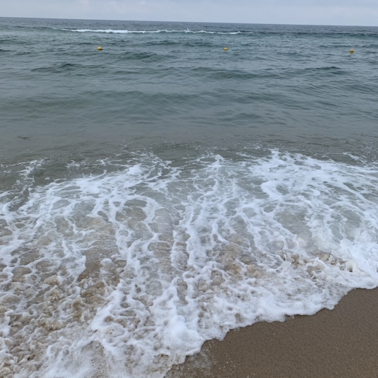  봄~여름