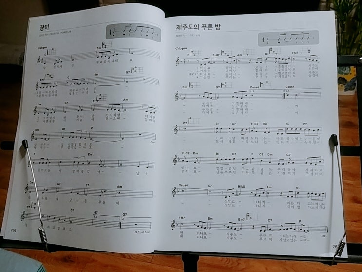  우쿨렐레 폼생폼사//우쿨렐레 명곡집//전문가용 보면대//제주도의 푸른 밤 연습//워너비