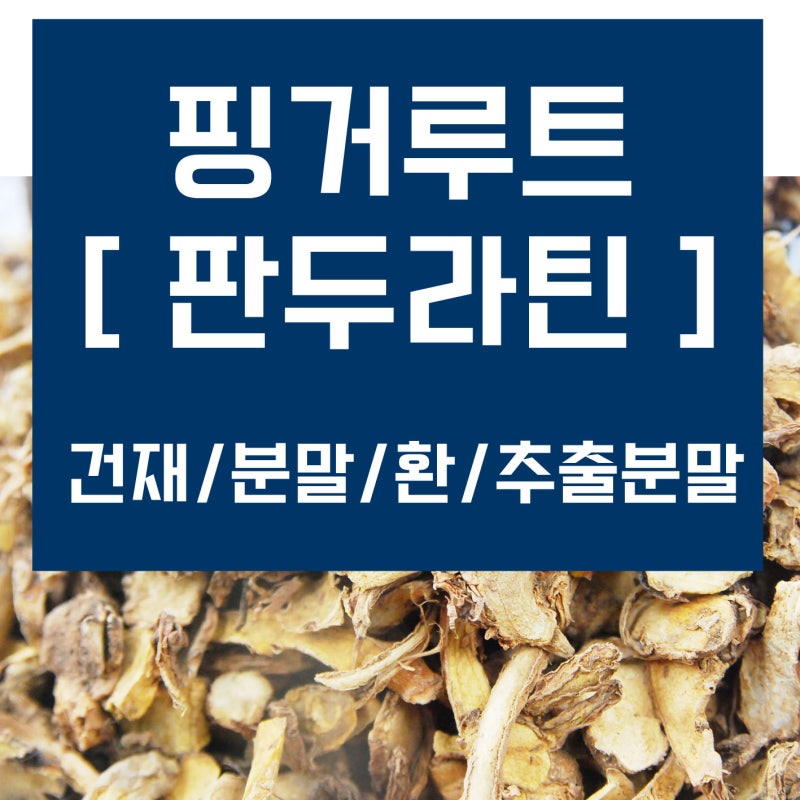 판듀오틴 핑거루트 효능 인도네시아 알약 분말차 먹는법! 5