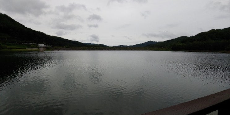 [봄,여름,가을에 여행하기 좋은 곳] 파주 마장 호수, 흔들다리