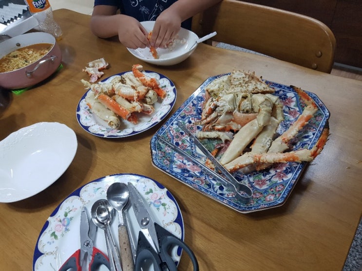 2019년 여름방학 추억 몰아보기 2019년 여름방학 추억 몰아보기