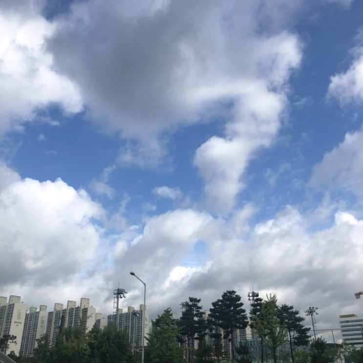  190725~31