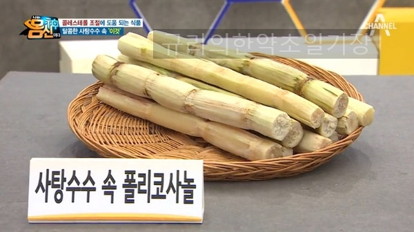 사탕수수 추출 쿠바산 폴리코사놀 효능 부작용 복용방법 알아보기 7