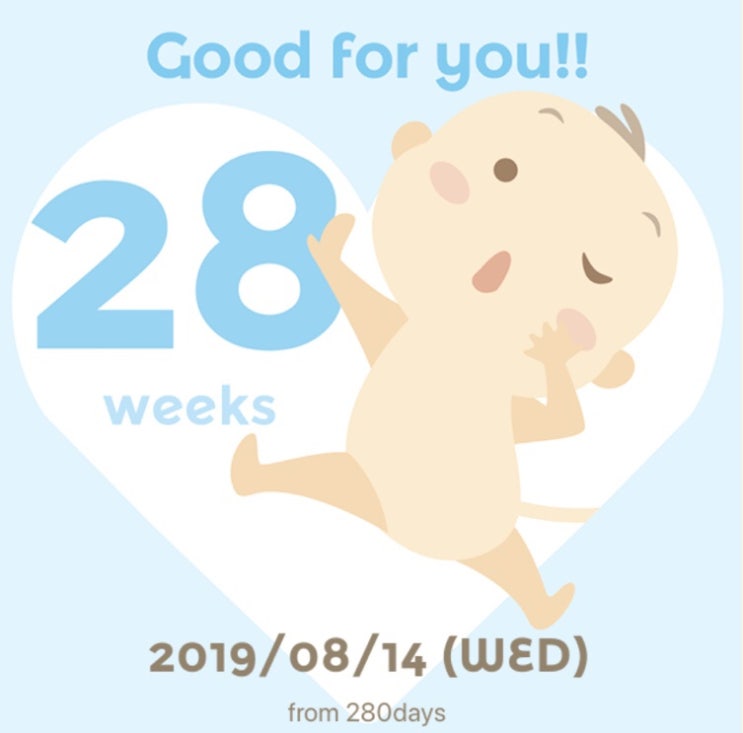  28주 1일 +6.5kg :: 임신후기 시작