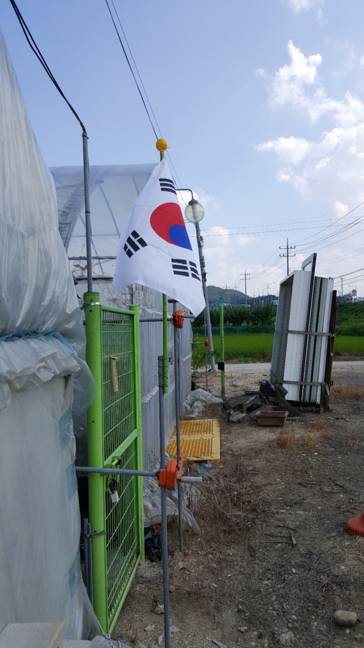  애국자가된 기분으로 하우스에 태극기를 게양했습니다