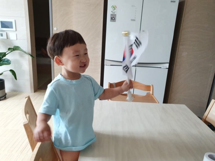  [광복절] 비오는 날 태극기 게양할까?