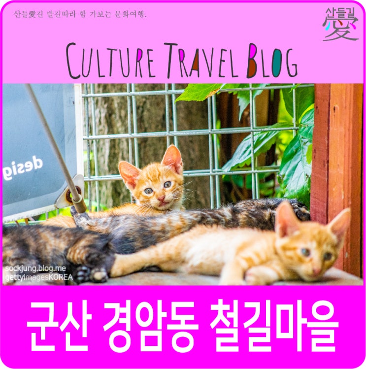  전북여행:: 군산 경암동 철길마을.