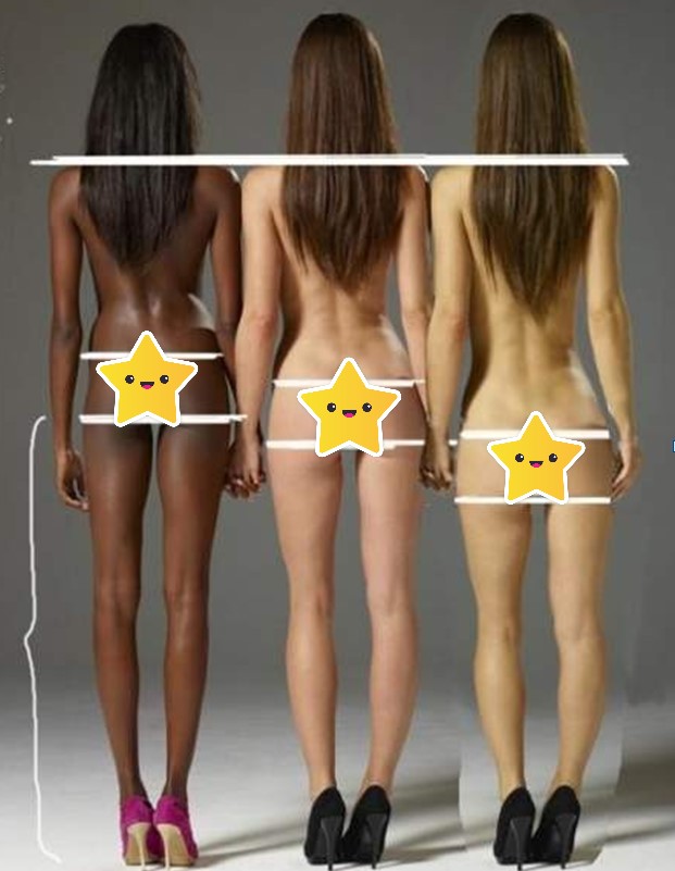  골반의 중요성