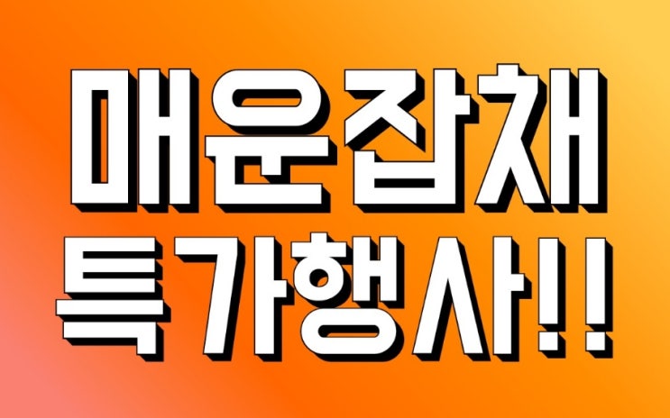  군산 매운 물잡채