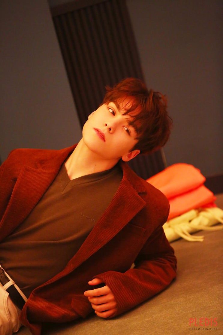 [세븐틴 빙의글 조각/버논] 붉은 듯 핑크스럽게