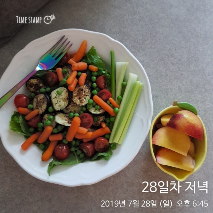  나름의 다이어트 기록