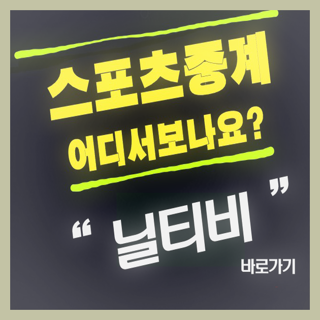  닐티비는 투사의 혼이 담겨있는 방송이다