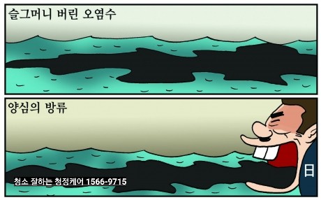  8월 15일 신문사별 오늘의 만평