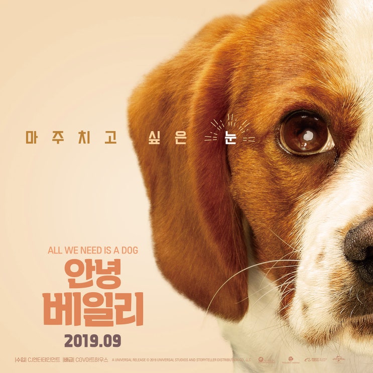  댕댕이들의 활약이 기대되는 영화 '안녕 베일리'