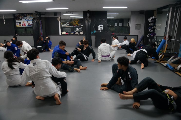  [대전주짓수] 주짓수만 수련하는 둔산주짓수클럽 (8월14일)