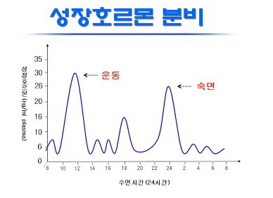 성인 성장호르몬 번째는 1